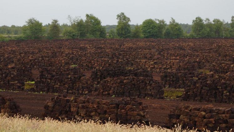 Der Torfabbau steht seit langem in der Kritik. Bild: GABOT.