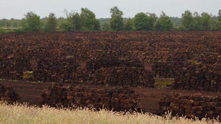 Torfabbau in Niedersachsen. Bild: GABOT.