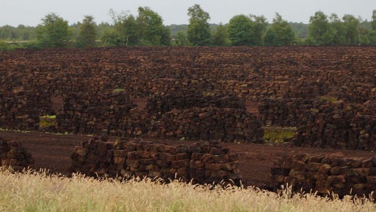 Torfabbau in Niedersachsen. Bild: GABOT.