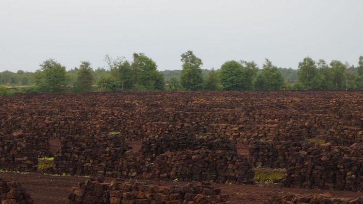 Die Tagung „Torfminderung“ findet am 18. und 19. Februar 2020 beim BMEL in Berlin statt. Bild: GABOT.
