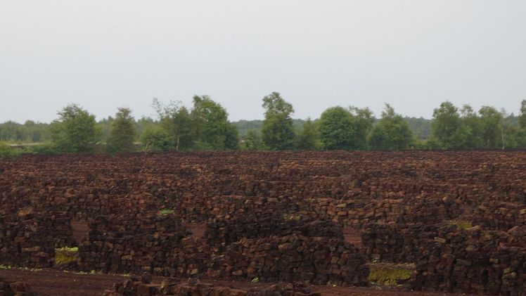Das Landes-Raumordnungsprogramm bildet den Grundstein für die Nutzung des öffentlichen Raums in Niedersachsen. Bild: GABOT.