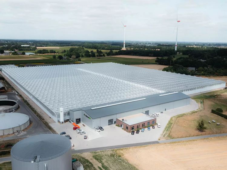 Luftaufnahme des neuen Vitarom-Gewächshauses am Niederrhein. Bild: © ALDI SÜD.