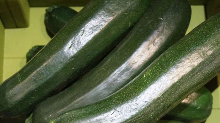 Frische Seminar-Webinar zum Thema „Warenkunde/Qualitätskontrolle – Fruchtgemüse“. Bild: GABOT.