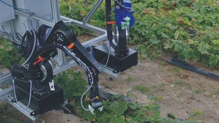 Der Prototyp des Dual-Arm-Robotersystems bei ersten Feldtests. Bild: © Fraunhofer IPK