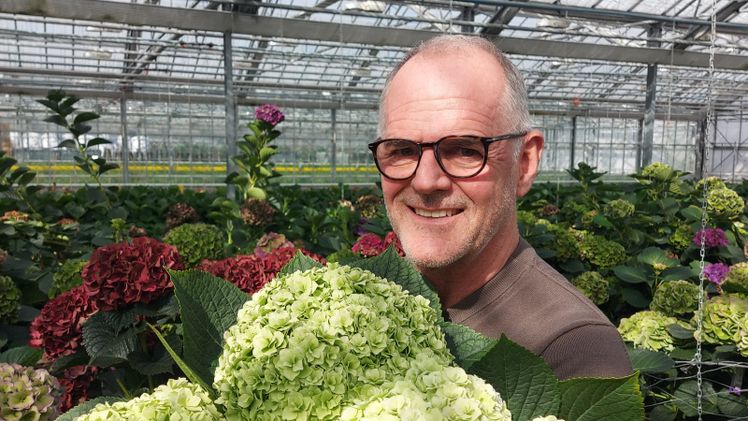 Jaap Stelder ist Direktor des kleinen Veredelungsbetriebs Agriom im niederländischen De Kwakel. Züchtungsziele sind unter anderem starke gesunde Pflanzen, die mit wenig oder ohne fossile Energie und mit natürlichem Licht auskommen. Foto: PFFH.