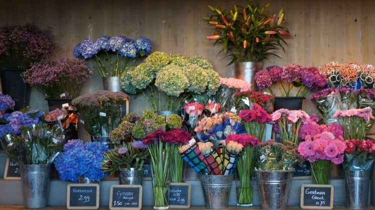 Aktuell dürfen Floristen keine Schnittblumen verkaufen. Bild: GABOT.
