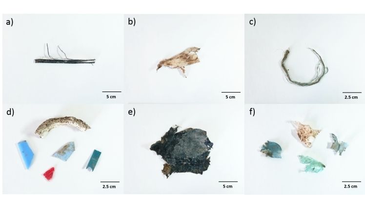 Beispiele für Makroplastik, die auf dem untersuchten Acker gefunden wurde. Die Kunststoffteile wurden anhand ihrer Form in drei verschiedene Kategorien eingeordnet: Folien (a,b,), Fragmente (c) und andere (d-f). Bilder: Sarah Pieh. Beispiele für Makroplastik, die auf dem untersuchten Acker gefunden wurde. Die Kunststoffteile wurden anhand ihrer Form in drei verschiedene Kategorien eingeordnet: Folien (a,b,), Fragmente (c) und andere (d-f). Bilder: Sarah Pieh.