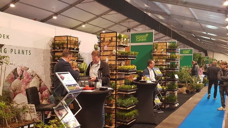 Mehr Besucher und ein internationalerer Charakter auf der GrootGroenPlus 2024. Bild: GABOT.