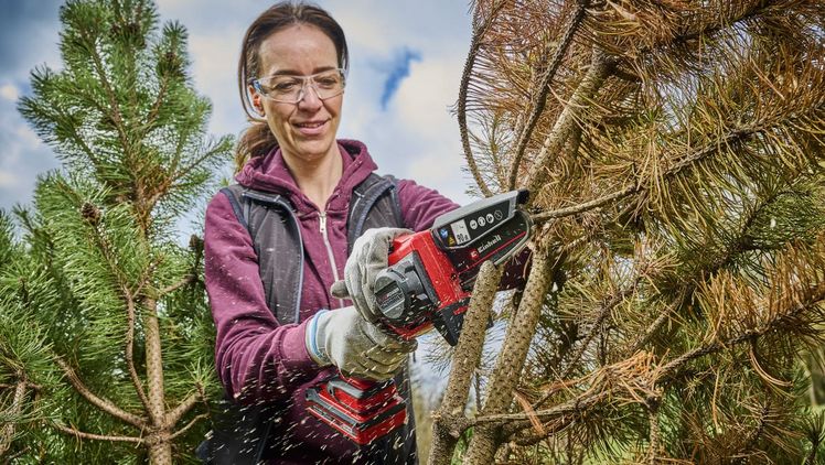 Die neue Einhell Akku-Astkettensäge GE-PS 18/15 Li BL überzeugt mit vielseitigen Einsatzmöglichkeiten. Bild: Einhell.