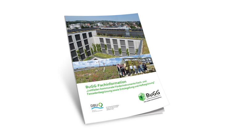 Neu: BuGG-Fachinformation „Leitfaden kommunale Förderinstrumente zur Dach- und Fassadenbegrünung sowie Entsiegelung und Hofbegrünung“. Quelle: Bundesverband GebäudeGrün e.V.