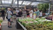 Konzentration trotz 40°C: Der BVE-Sommertreff machte seinem Namen alle Ehre. Foto: Grote-Weber.