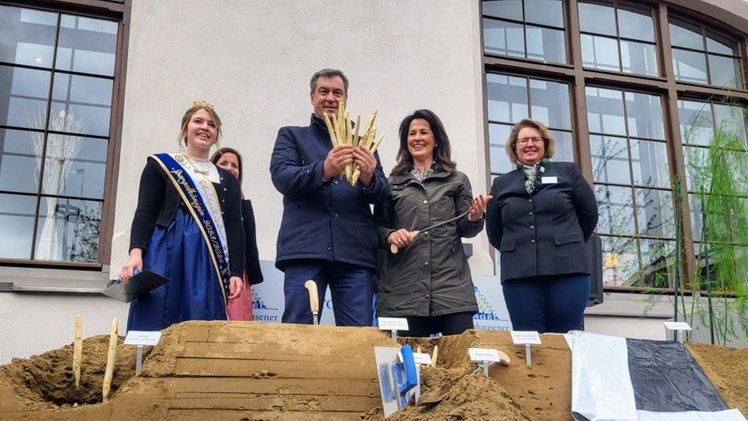 Der milde und feuchte Winter ermöglichte eine frühen Saisonstart. Bild: BBV.