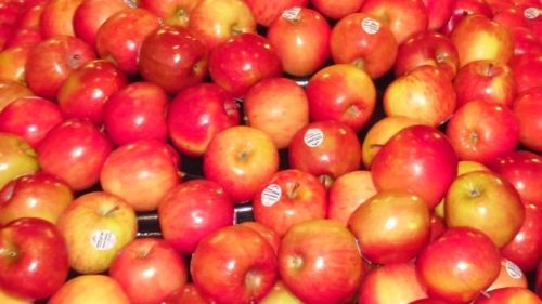 Eine essbare Beschichtung kann Haltbarkeit von Obst und Gemüse verlängern. Bild: GABOT.