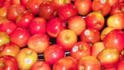 Äpfel sind in der Schweiz am beliebtesten. Bild: GABOT.