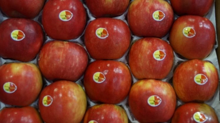 Das EU-Schulprogramm für Obst, Gemüse und Milch in Schleswig-Holstein stößt auf gute Resonanz. Bild: GABOT.