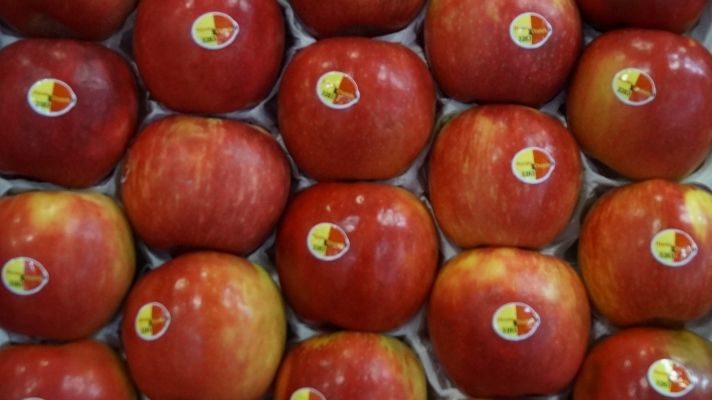 Jens Stechmann kritisiert Verkaufspreise unterhalb der Produktionskosten. Bild: GABOT. 