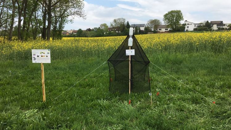 Malaise-Fallen eignen sich hervorragend zum Sammeln einer Vielzahl von Insekten in verschiedenen Lebensräumen. Bild: LandKlif-Team.