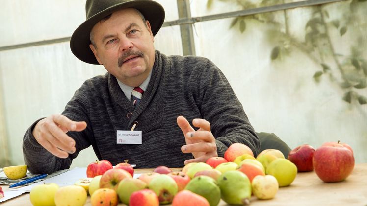 Dr. Hilmar Schwärzel, genannt der "Apfelpapst". Bild: Späth’sche Baumschulen.