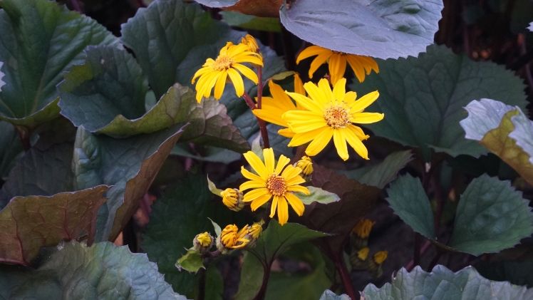 "Garten der Zukunft". Bild: GABOT.