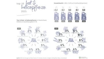 Top 10 Beet- und Balkonpflanzen in Deutschland. Grafik: ZVG.
