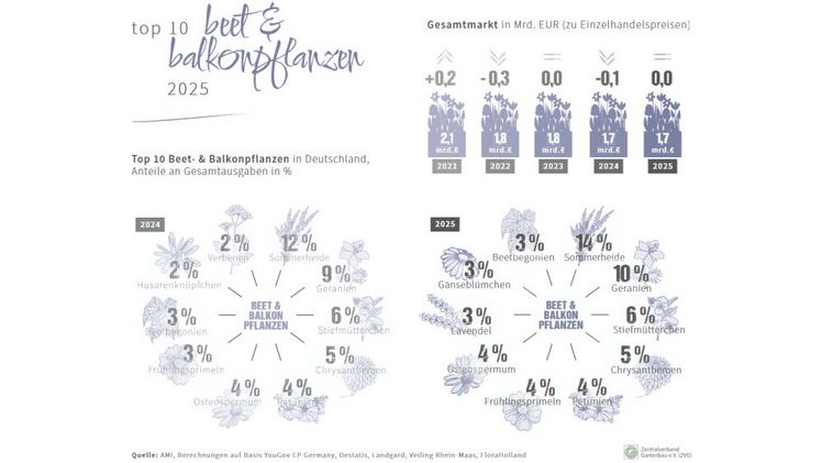 Top 10 Beet- und Balkonpflanzen in Deutschland. Grafik: ZVG.