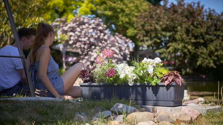 Buntes Blütentreiben: Wie vielseitig Pflanzgefäße einsetzbar sind, zeigt der Balkonkasten aufs Schönste. Bild: GMH/FGJ.