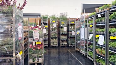 Impressionen von der Entstehung der POS Green Solution Islands. Bild: © Oliver Mathys. 