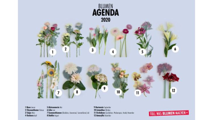 Blumenagenda 2020. Bild: Tollwasblumenmachen.de.
