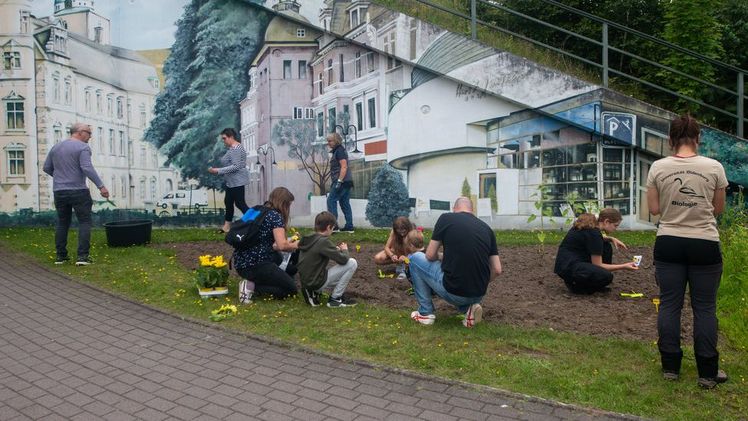 Blühwiese des famila Einkaufsland Wechloy. Bild: Bünting Unternehmensgruppe.