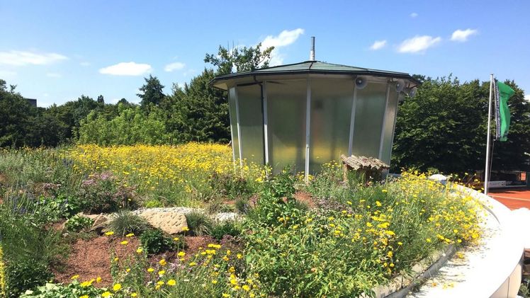Biodiversitäts-Module steigern den Artenreichtum auf dem Dach, so finden Insekten und Vögel viele Futterpflanzen und Nistplätze in Steinen, Insektenhotels oder auch in Totholz. Bild: ZinCo.