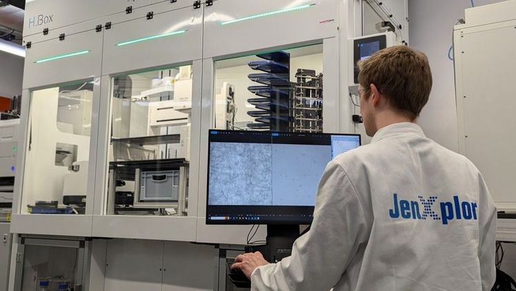 Hellfeldmikroskopie-Aufnahmen aus der Robotikplattform JenXplor zeigen links das unbeeinflusste Wachstum von F. veterinarium und rechts den gleichen Pilz unter Einfluss einer bekannten antifungalen Substanz (Voriconazol). Bild: Leibniz-HKI.