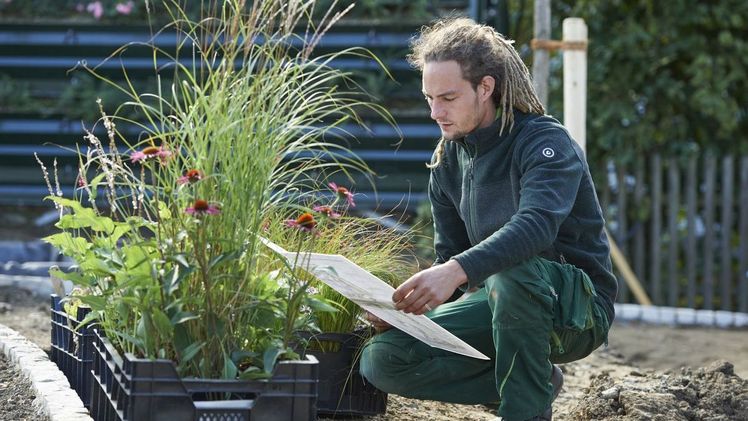 Über 1.500 junge Frauen und Männer befanden sich 2022 in einem laufenden Ausbildungsverhältnis im bayerischen Garten- und Landschaftsbau. Bild: C. Tietz, VGL Bayern.
