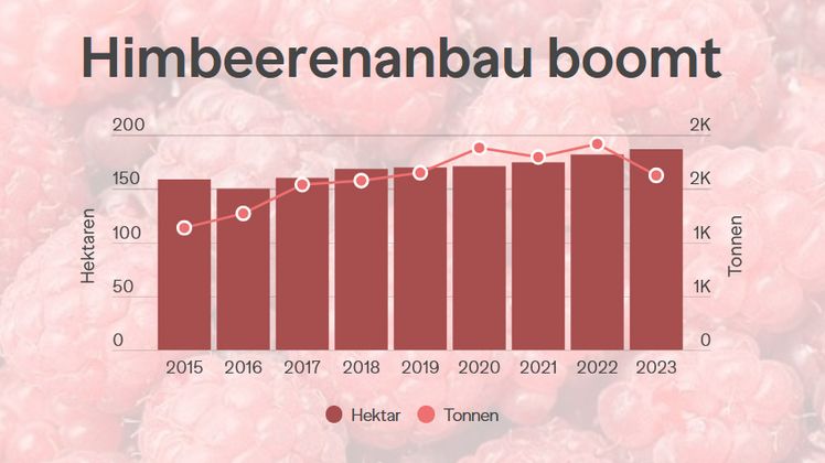 Himbeerenanbau boomt in der Schweiz. Grafik: Schweizer Obstverband SOV/lid.ch.