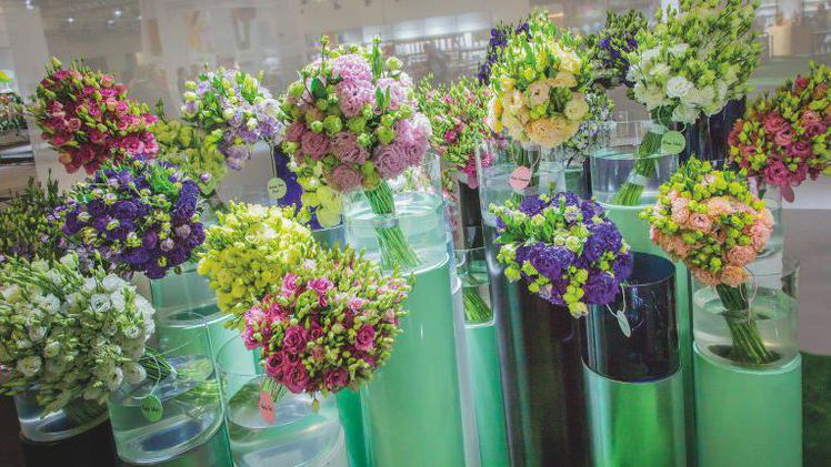 Für Gebroeders Van der Lugt Lisianthus ist der neue Marktplatz floradecora eine florierende Verkaufsplattform. 