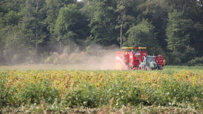 Für die Kartoffelernte ist es derzeit zu heiß und zu trocken. Die Bauern fahren daher in den frühen Morgenstunden oder abends auf die Felder, um die noch nicht lagerfähigen Frühkartoffeln zu ernten. Bild: Landvolk.