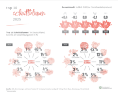 Top 10 Schnittblumen in Deutschland. Grafik: ZVG.