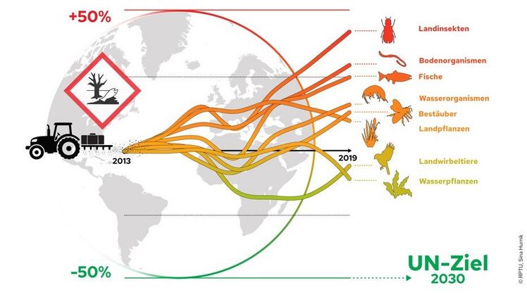 Ansteigende Trends der applizierten Pestizidgiftigkeit stehen der Erreichung der globalen UN-Ziele zur Sicherung der Biodiversität entgegen. Bild: RPTU, Sina Hurnik.