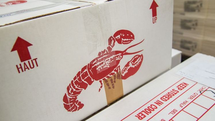 Lufthansa Cargo eines der weltweit führenden Unternehmen im Transport von Luftfracht. Bild: Lufthansa Cargo.