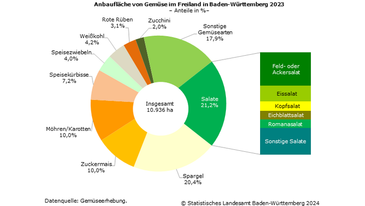 Anbaufläche von Gemüse im Freiland in Baden-Württemberg 2023 – Anteile in %. Grafik: Statistisches Landesamt Baden-Württemberg.