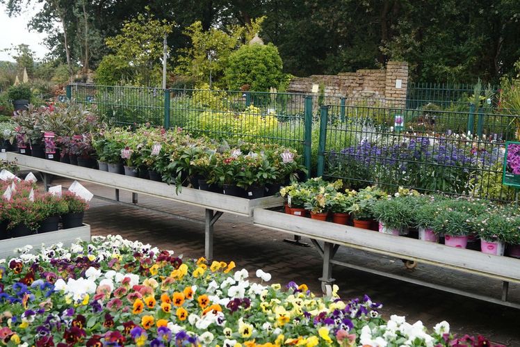 Gärtnerinnen und Gärtner machen in Nordrhein-Westfalen den größten Teil der Auszubildenden in der Grünen Branche aus. Bild: GABOT.