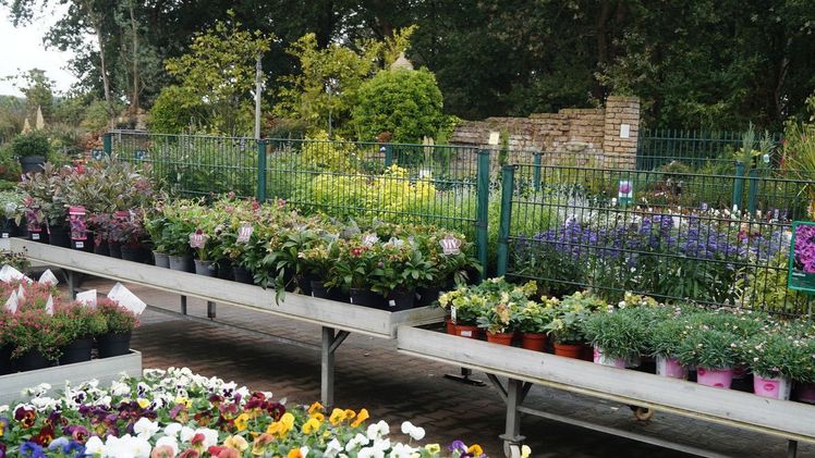 Sind Gartencenter geöffnet oder geschlossen? Darauf gibt es keine bundeseinheitliche Antwort. Bild: GABOT.