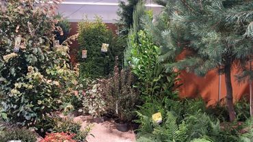 Impressionen von der GrootGroenPlus 2026. Bild: GABOT.
