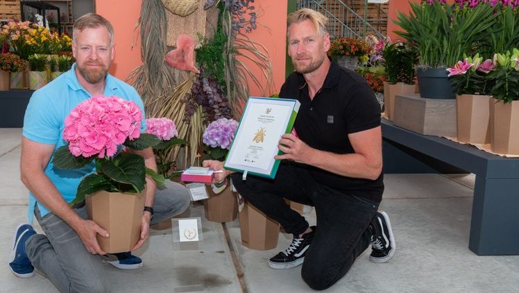 Erster Preis im Produktwettbewerb Garten- und Terrassenpflanzen - Hortensie 'Fusion Raspberry' - PerlaNova aus Zevenhuizen. Bild: Floriade.