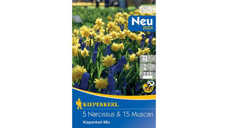 Narzissen-Traubenhyazinthen-Mix 'Kiepenkerl'. Bild: Kiepenkerl.