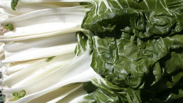 Krautstiele - auch Swiss Chard genannt. Bild:lid. 