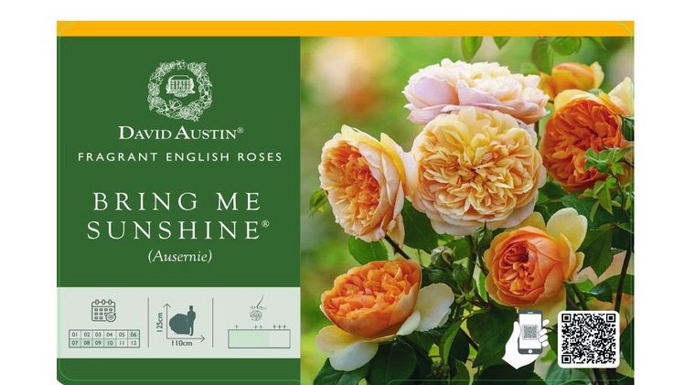 Das neue David Austin® Stecketikett. Bild: David Austin Roses.