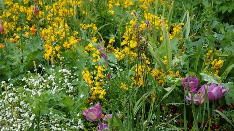 Dort, wo Pflanzen wachsen, ist die Luft messbar besser, denn sie produzieren Sauerstoff, binden Feinstaub, verdunsten Wasser und reinigen die Luft. Bild: GABOT.
