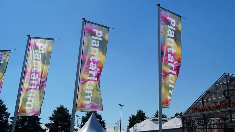 Auktion auf der Plantarium.