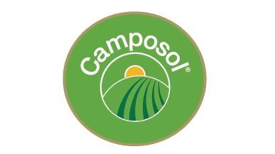 Camposol Holding PLC gibt vorläufige Ergebnisse für das zweite Quartal und das erste Halbjahr 2025 bekannt.