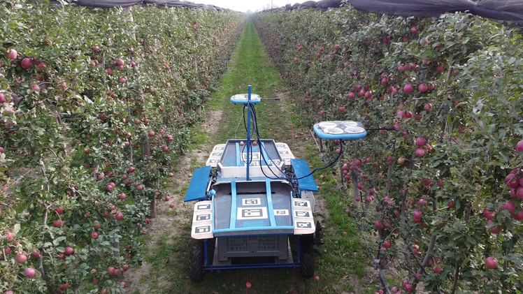 Durch seinen einzigartigen und modularen Ansatz bietet das neu entwickeltes „Automated Fruit Picking System“ eine Lösung für jede Betriebsgröße. Bild: Kubota.